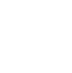check-icon