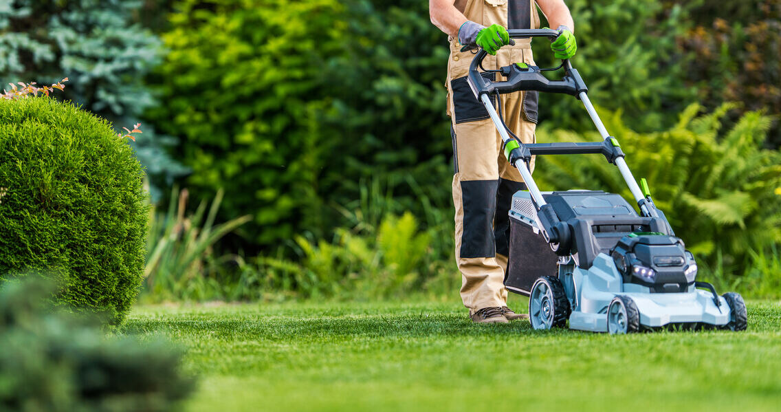 Lawn Mowing